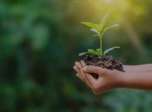 Анализ почв и грунтов